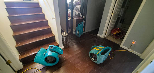 Best Sewage cleanup and water damage restoration  in Elk Mound, WI