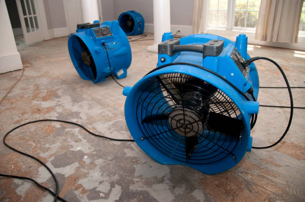 Best Water damage repair service  in Elk Mound, WI