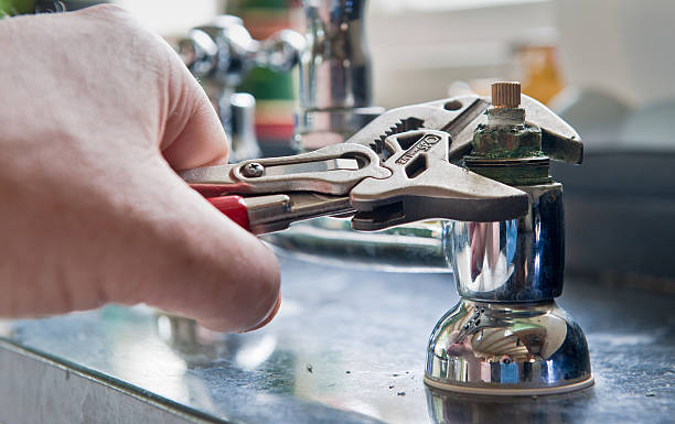 Best Local water damage restoration  in Elk Mound, WI