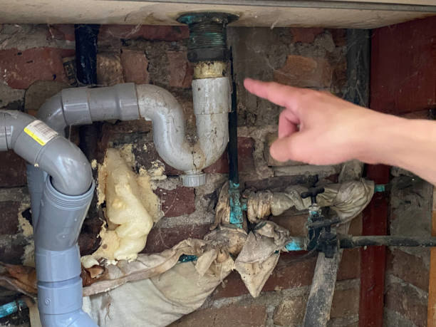 Best Flood damage cleanup  in Elk Mound, WI