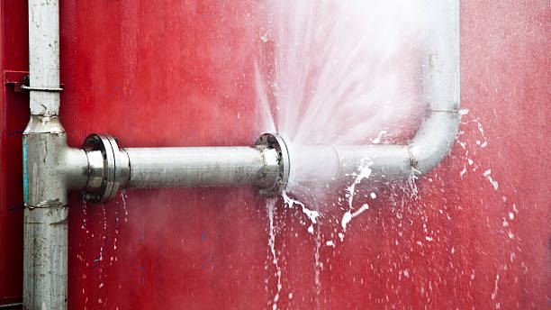 Professional Water damage restoration in Elk Mound, WI
