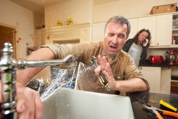 Best Ceiling water damage repair  in Elk Mound, WI
